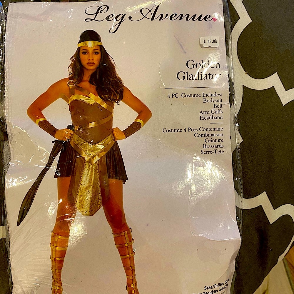 Warrior princess halloween costume